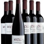 Großes Genusspaket Rotwein trocken