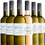 Entdeckerreise durch die Weinwelt